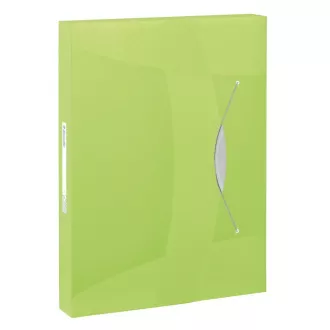 Esselte Dokumentenbox VIVIDA, 40 mm, grün