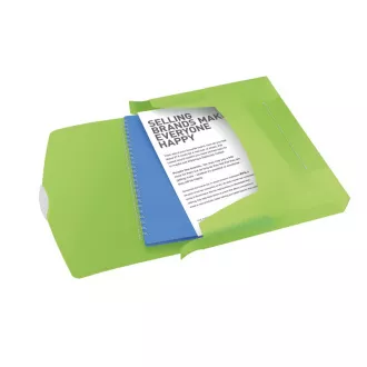 Esselte Dokumentenbox VIVIDA, 40 mm, grün