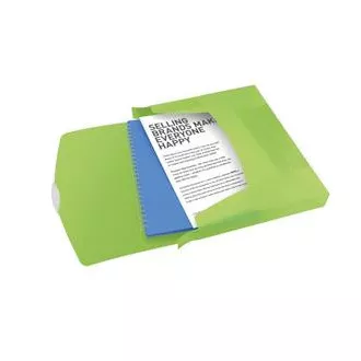 Esselte Dokumentenbox VIVIDA, 40 mm, grün