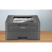 Brother HL-L2402D (30 Seiten/Min., USB 2.0, Duplex) - Gebraucht