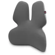 CONNECT IT FOR HEALTH GamaPro Anatomische Lendenwirbelstütze für Stuhl, GREY