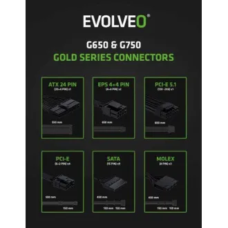 EVOLVEO G750 Netzteil 750W, 80 GOLD, ATX 3.1, PCIe 5.1, aPFC, 140mm Lüfter, modular, 3 Jahre Garantie, schwarz EVOLVEO G750 Netzteil 750W, 80 GOLD, ATX 3.1, PCIe 5.1, aPFC, 140mm Lüfter, modular, 3 Jahre Garantie, schwarz