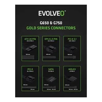 EVOLVEO G750 Netzteil 750W, 80 GOLD, ATX 3.1, PCIe 5.1, aPFC, 140mm Lüfter, modular, 3 Jahre Garantie, schwarz EVOLVEO G750 Netzteil 750W, 80 GOLD, ATX 3.1, PCIe 5.1, aPFC, 140mm Lüfter, modular, 3 Jahre Garantie, schwarz