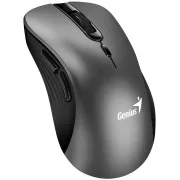 Genius Ergo 8100S Maus, kabellos, ergonomisch, optisch, 1600DPI, 6 Tasten, USB, metallic-grau