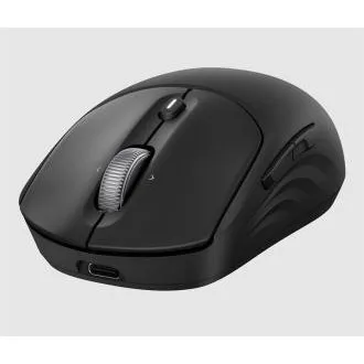 HP 705 Wiederaufladbare kabellose Maus HP 705 Wiederaufladbare kabellose Maus