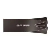 Samsung USB 3.2 Gen1 Flash Disk Titan Grau 512 GB