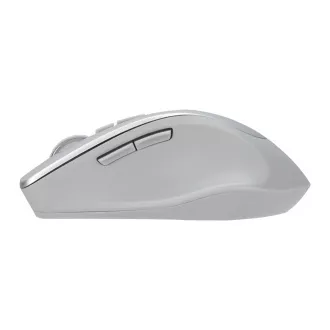 ASUS WT425/Ergonomisch/Optisch/Rechtshänder/1 600 DPI/Wireless USB/Silber ASUS WT425/Ergonomisch/Optisch/Rechtshänder/1 600 DPI/Wireless USB/Silber