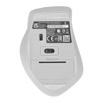 ASUS WT425/Ergonomisch/Optisch/Rechtshänder/1 600 DPI/Wireless USB/Silber ASUS WT425/Ergonomisch/Optisch/Rechtshänder/1 600 DPI/Wireless USB/Silber