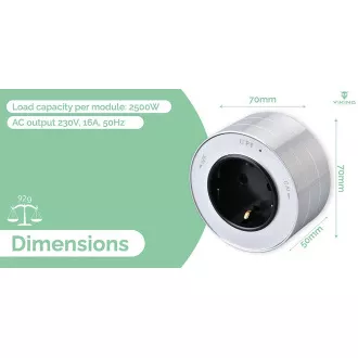 Steckdosenmodul Viking A40SB, silber-schwarz/Ausgänge - 1xAC/Leistung bis 2500W/230V,16A,50Hz/Steckdosentyp