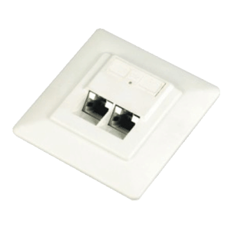 DATACOM UTP Doppelsteckdose 45 Grad - Cat5e