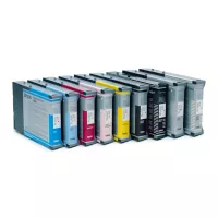 Epson T6029 (C13T602900) - Tintenpatrone, light light black (hellhellschwarz)