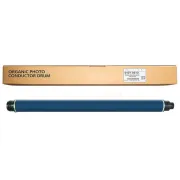Ricoh D1979510 - Bildtrommel