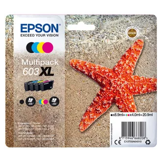 Epson C13T03A64010 - Tintenpatrone, black + color (schwarz + farbe)