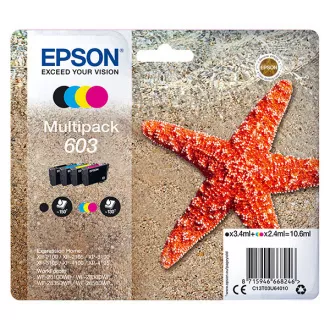 Epson C13T03U64010 - Tintenpatrone, black + color (schwarz + farbe)