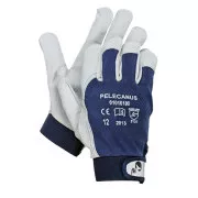 PELECANUS-Handschuhe