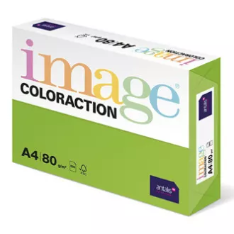 Xerografisches Papier Coloraction, Java, A4, 80 g/m2, mittelgrün, 500 Blatt, geeignet für Inkjetdruck