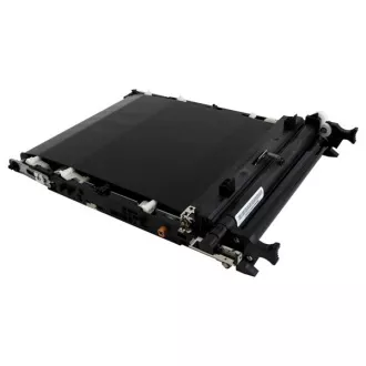Ricoh D1966002 - Transferband