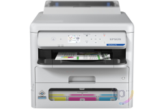 EPSON WORKFORCE PRO EP-C800 SERIES Drucker