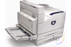 XEROX PHASER 5500 Drucker