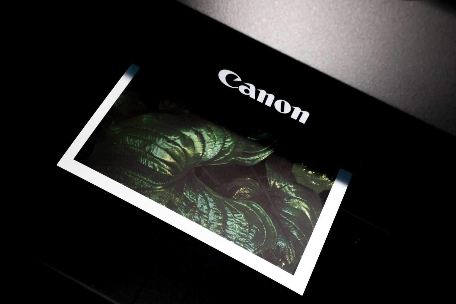 Druck eines Bildes auf einem Canon Drucker